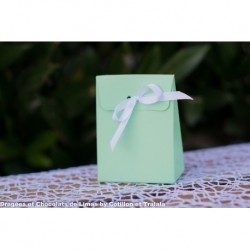 Contenant Mini Pochon Vert...