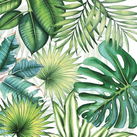 Serviettes De Table Tropical Feuillage Dragees Chocolats De Limas Serviettes De Table Tropical Feuillage Dragees Chocolats De Limas