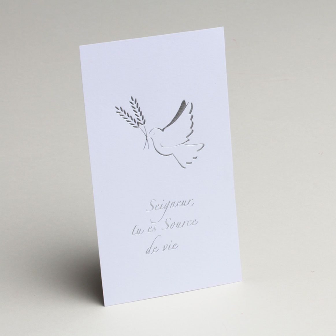 Carte Communion Blanc Argent Colombe X10 Dragees Chocolats De Limas