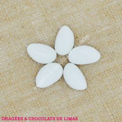 Dragées Amande AVOLA DAUPHINE Blanc Brillant 1KG