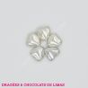 Dragées MINI COEUR Chocolat Argent 500G