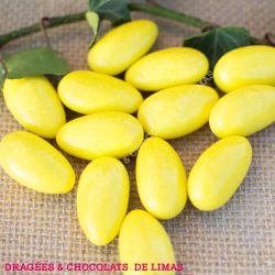 Dragées CARAMEL Beurre Salé Jaune 1KG