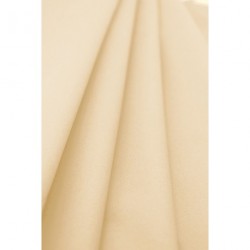 Nappe Rouleau Champagne Intissé 1,20x10m