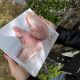 Livre d'Or PIEDS de BEBE
