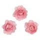 Fleurs en papier Rose x12