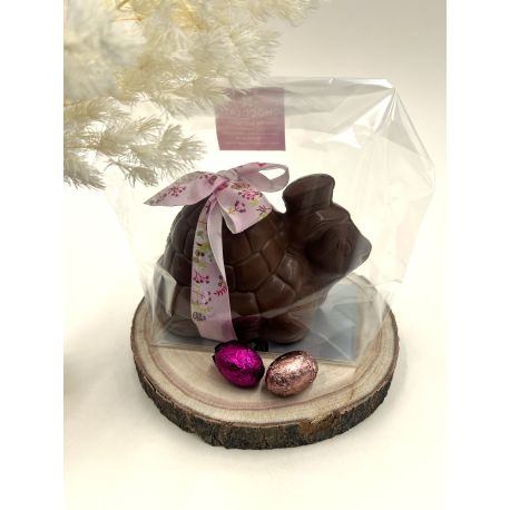 Moulage TORTUE Chocolat LAIT garni
