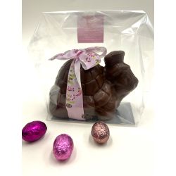 Moulage TORTUE Chocolat LAIT garni