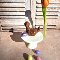 DINOSAURE PM Lait LLP