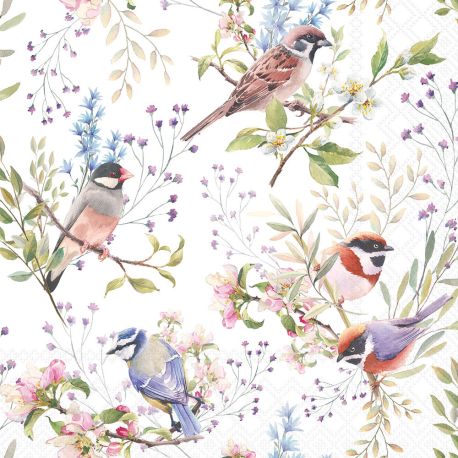 Serviette oiseaux et fleurs x20