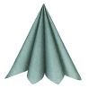 Serviettes Eucalyptus x20