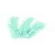 PLUMES VERT JADE (x 20)