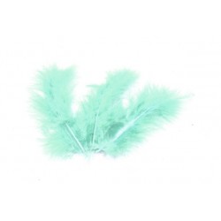 PLUMES VERT JADE (x 20)