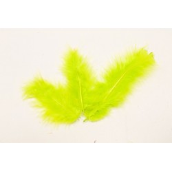 PLUMES VERT ANIS (x 20)