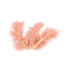 PLUMES PECHE (x 20)