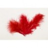 PLUMES ROUGE (x 20)