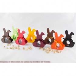 Boîte Lapin Jaune (x6)