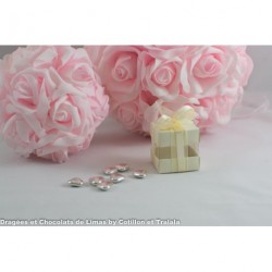 MINI CUBES DUO IVOIRE (x10)