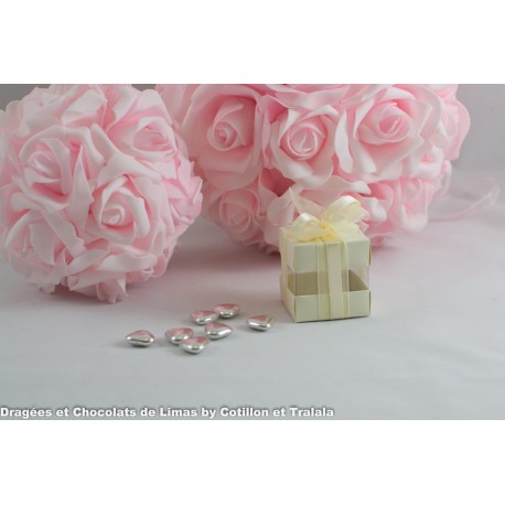 MINI CUBES DUO IVOIRE (x10)