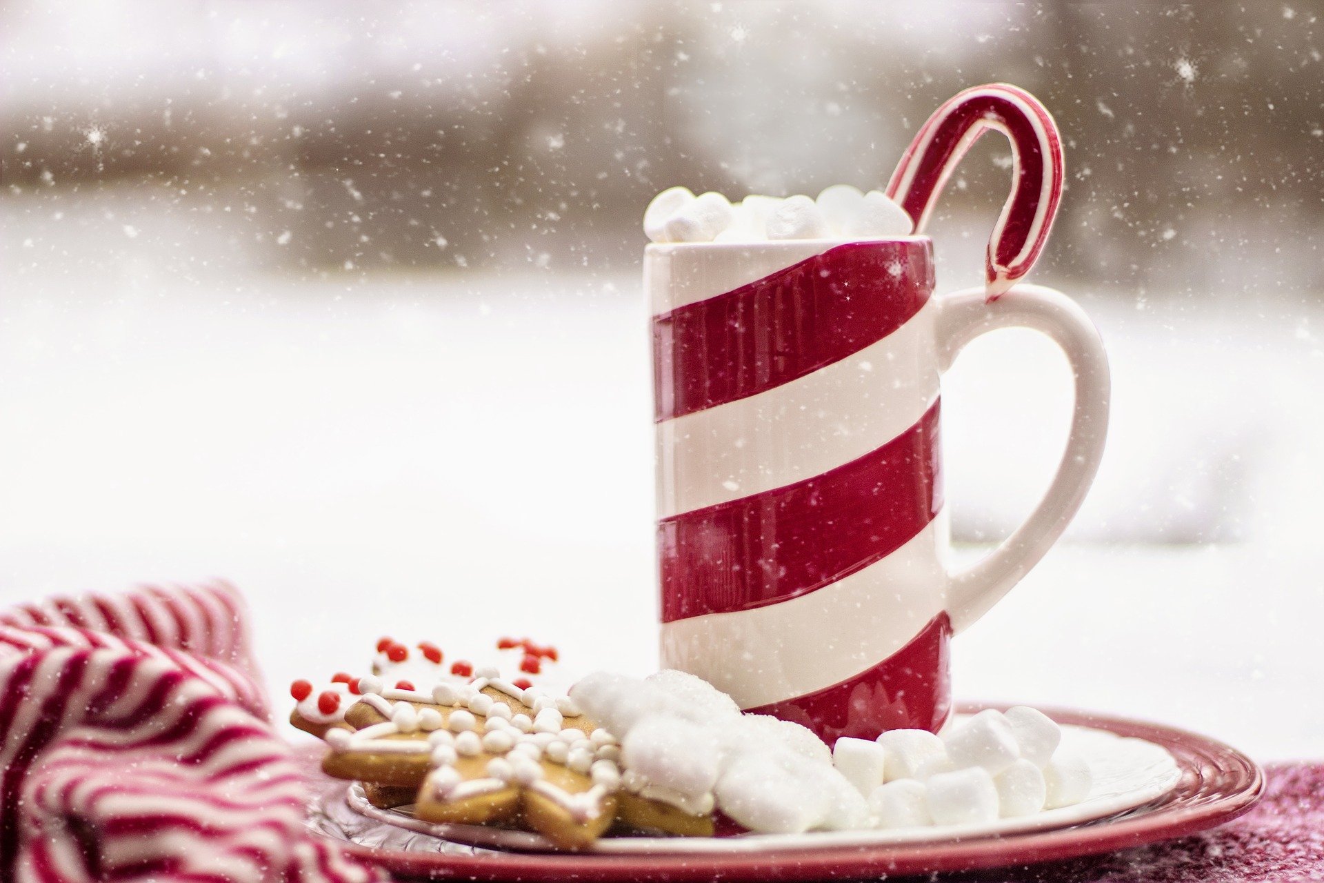 Quel ballotin de chocolats offrir à Noël?