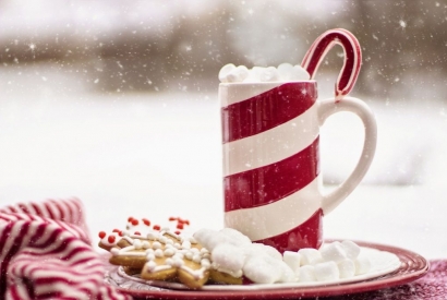 Quels chocolats offrir pour Noël ? 
